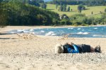 Matze haellt ein Nickerchen am Strand