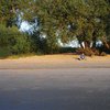 Bild 16