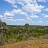 Nationalpark El Palmar