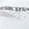 Deception Island mit einem Arctocephalus gazella